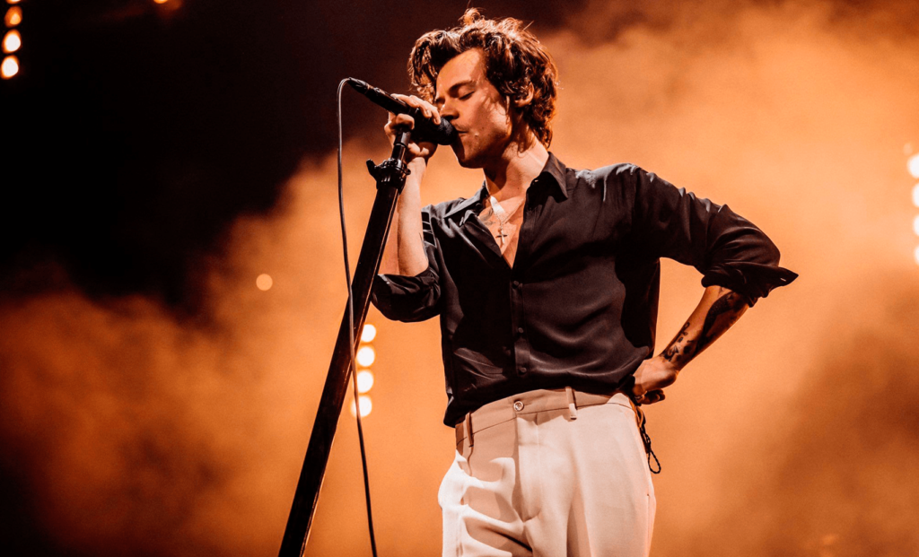Harry Styles durante show